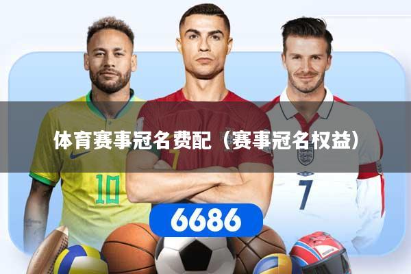 体育赛事冠名费配（赛事冠名权益）